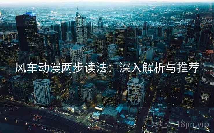 风车动漫两步读法：深入解析与推荐