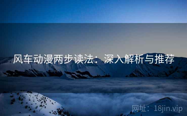 风车动漫两步读法：深入解析与推荐